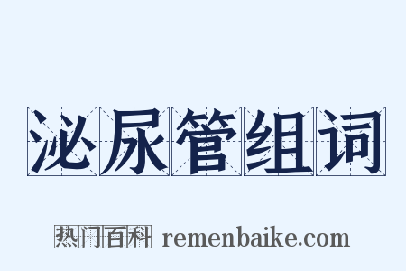 泌尿管组词是什么意思的图片